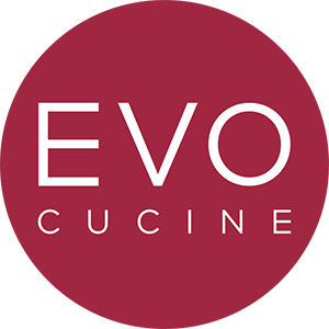 logo-evo